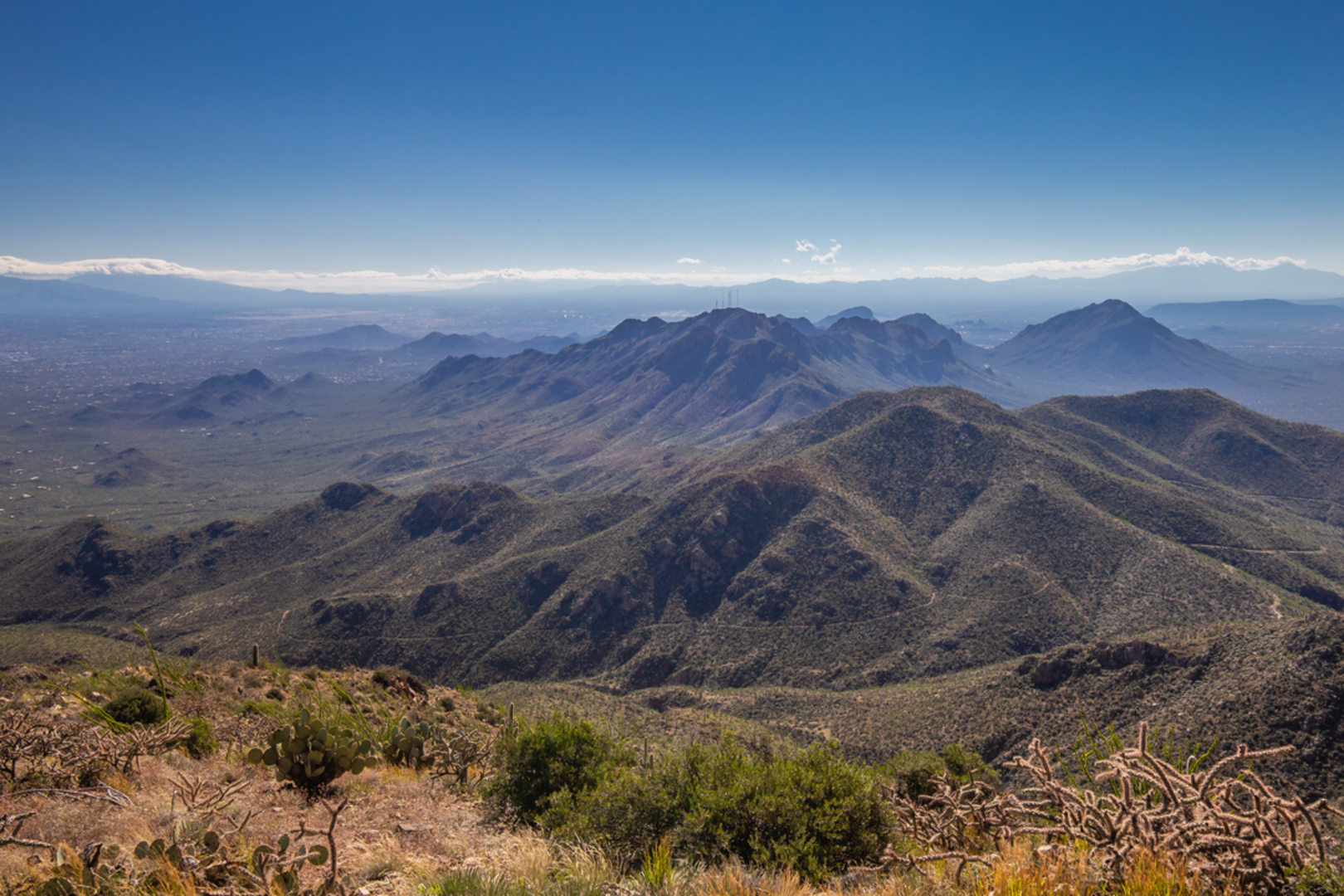 An image depicting the trail Wasson and Amole Peak Loop and its surrounding area.