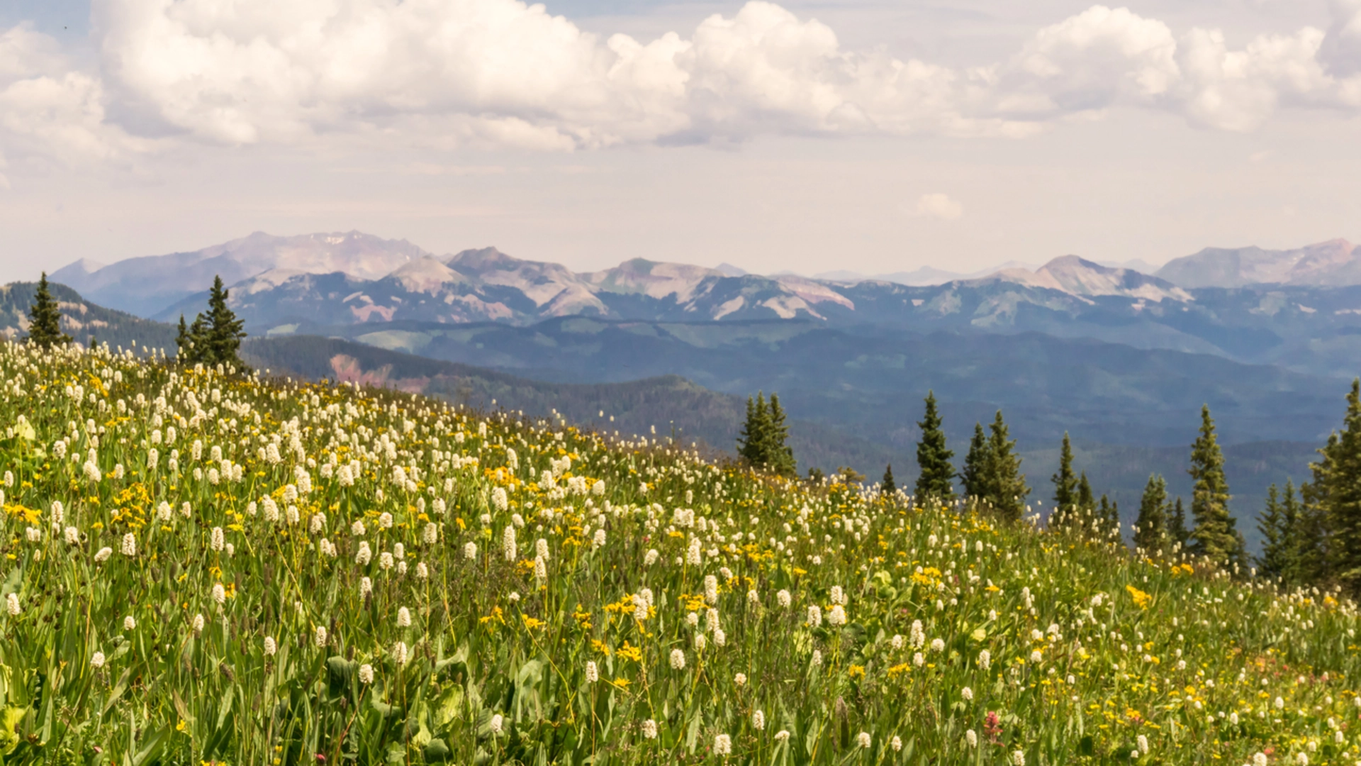 An image depicting the trail Clear Creek Trail and its surrounding area.