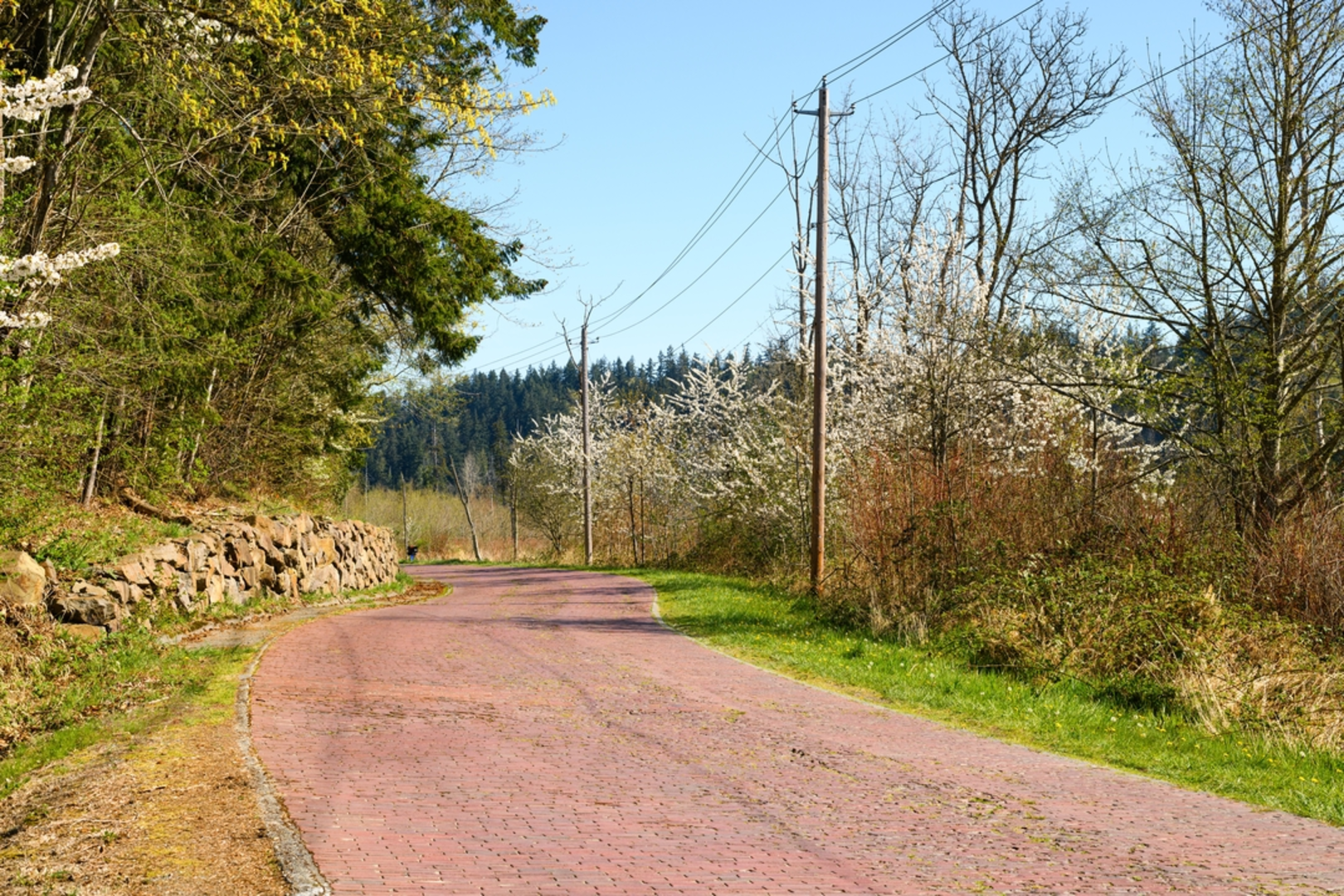 An image depicting the trail Hester Lake Trail and its surrounding area.