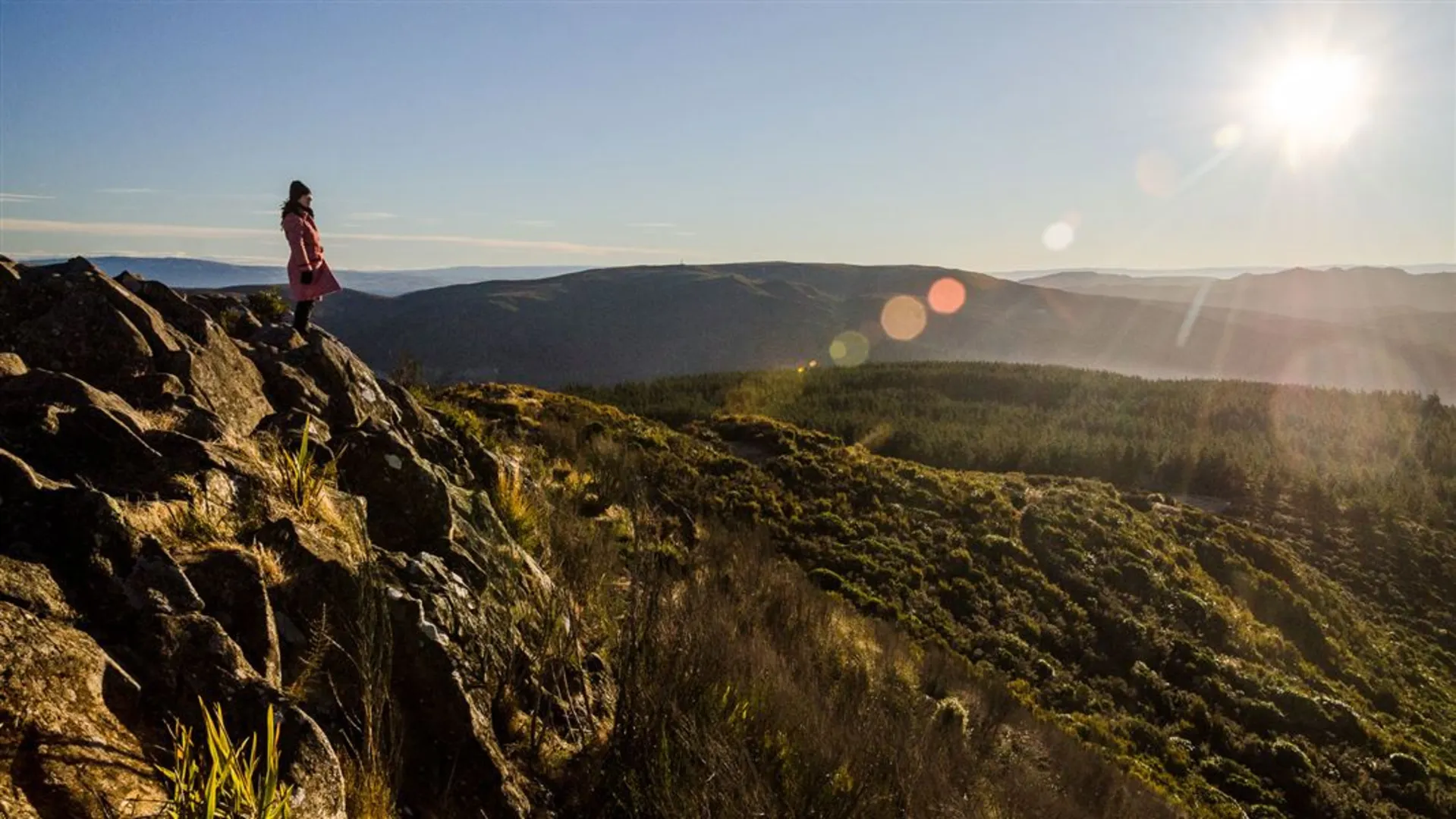 An image depicting the trail Grahams Bush Track and its surrounding area.