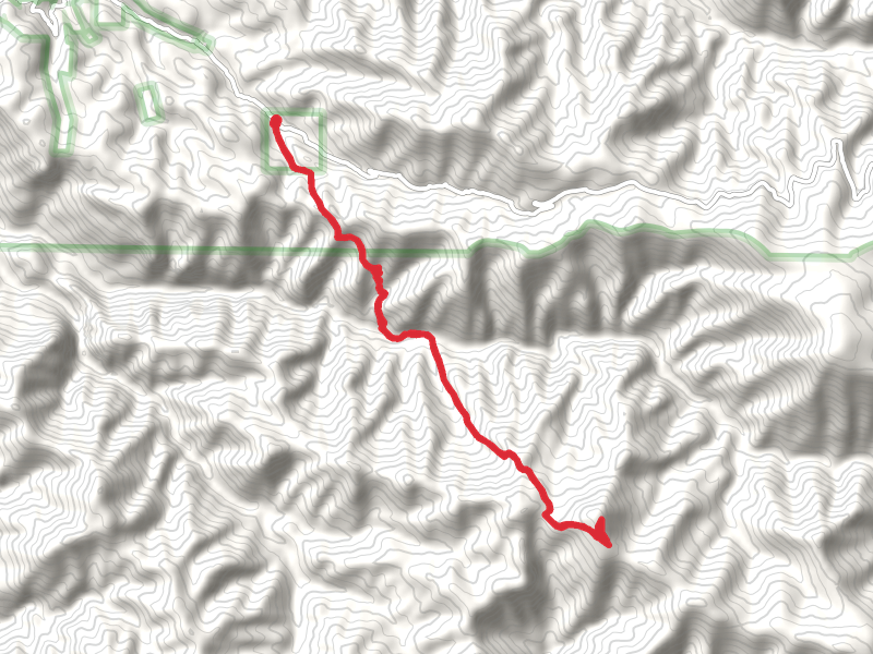 Grouse Mountain via Deloche-Wynn Canyon Trail