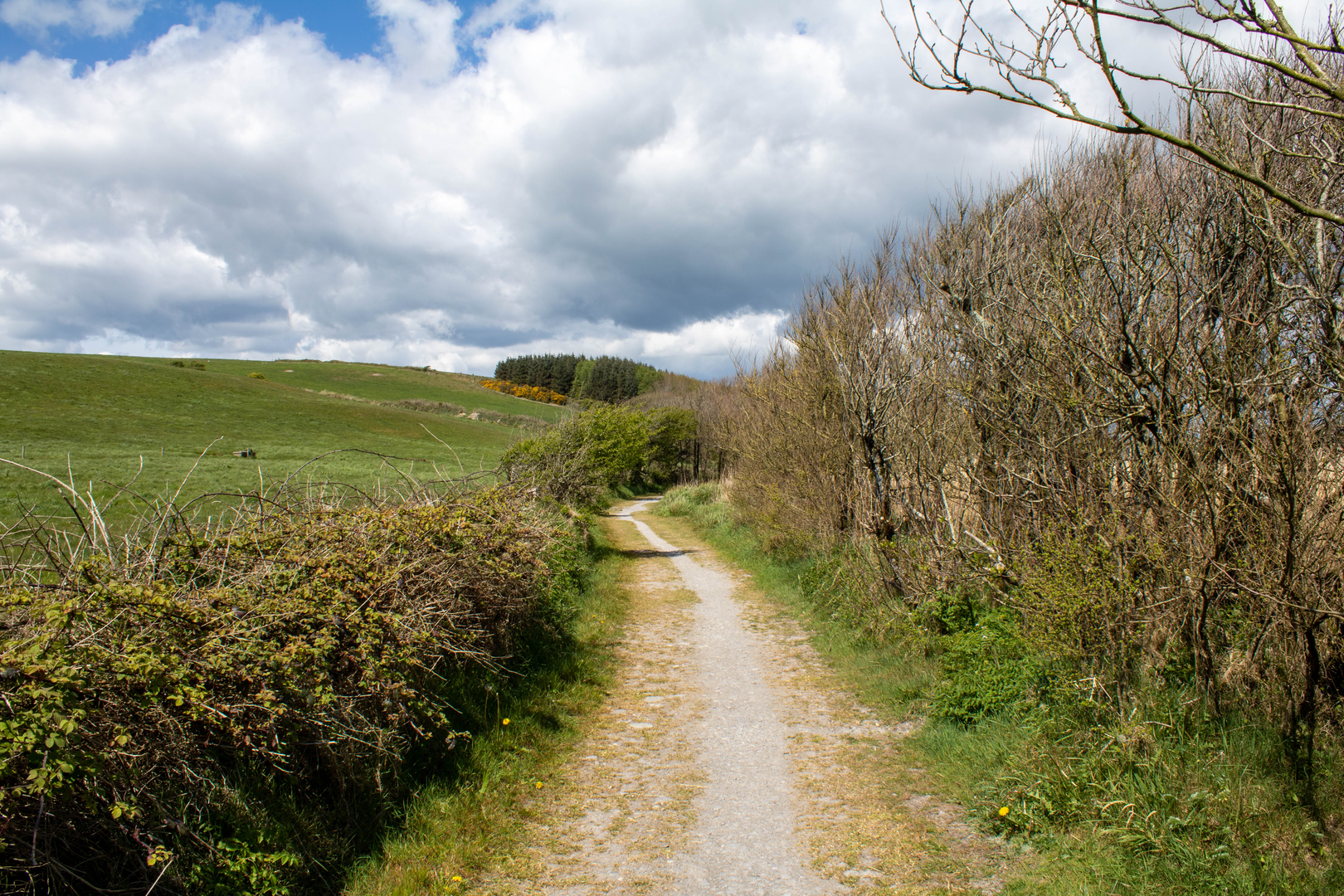 An image depicting the trail Kilbrittain Trails - Castle Walk and its surrounding area.