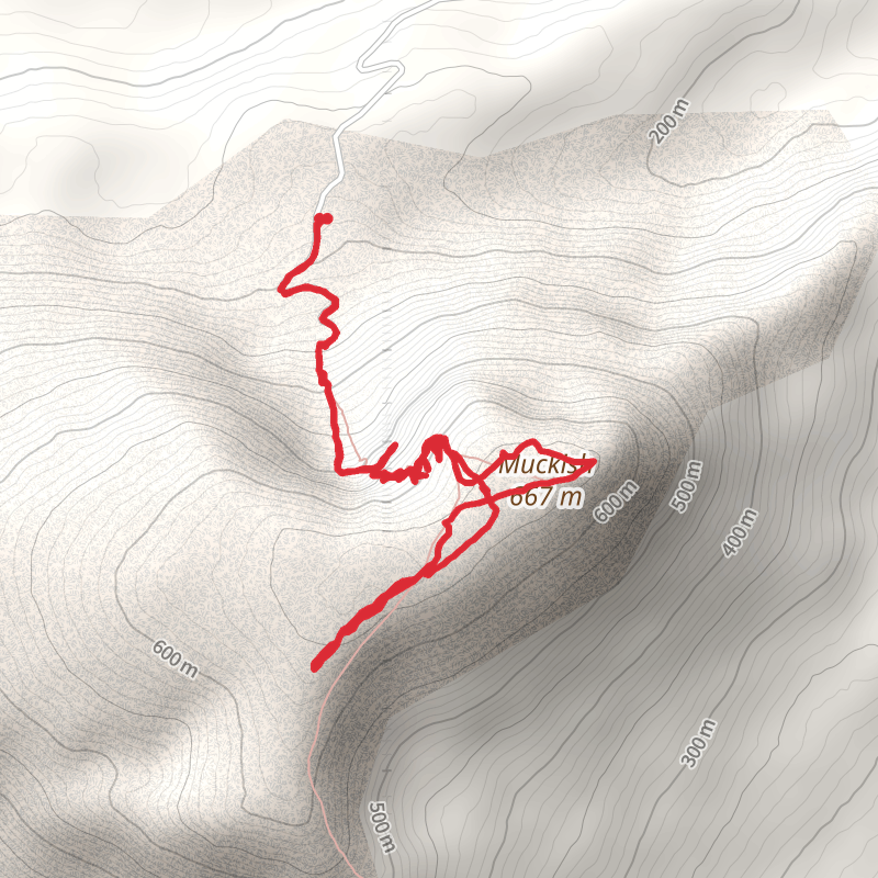A map preview of the recording route_2025-04-24_4.29pm.
