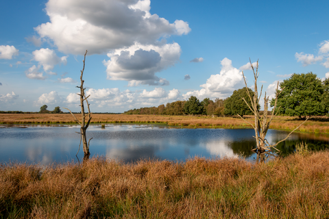 Bargerveen Uitkijkheuvet and Laardijk Loop