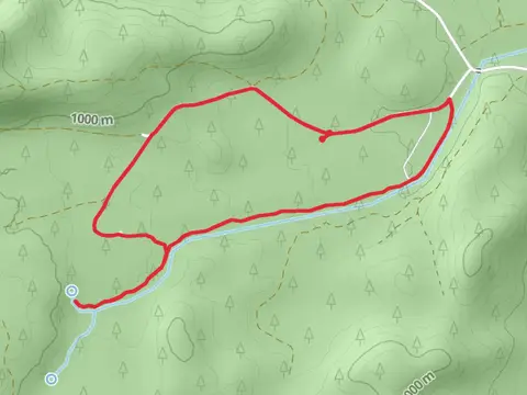 Jack Creek Campground Loop