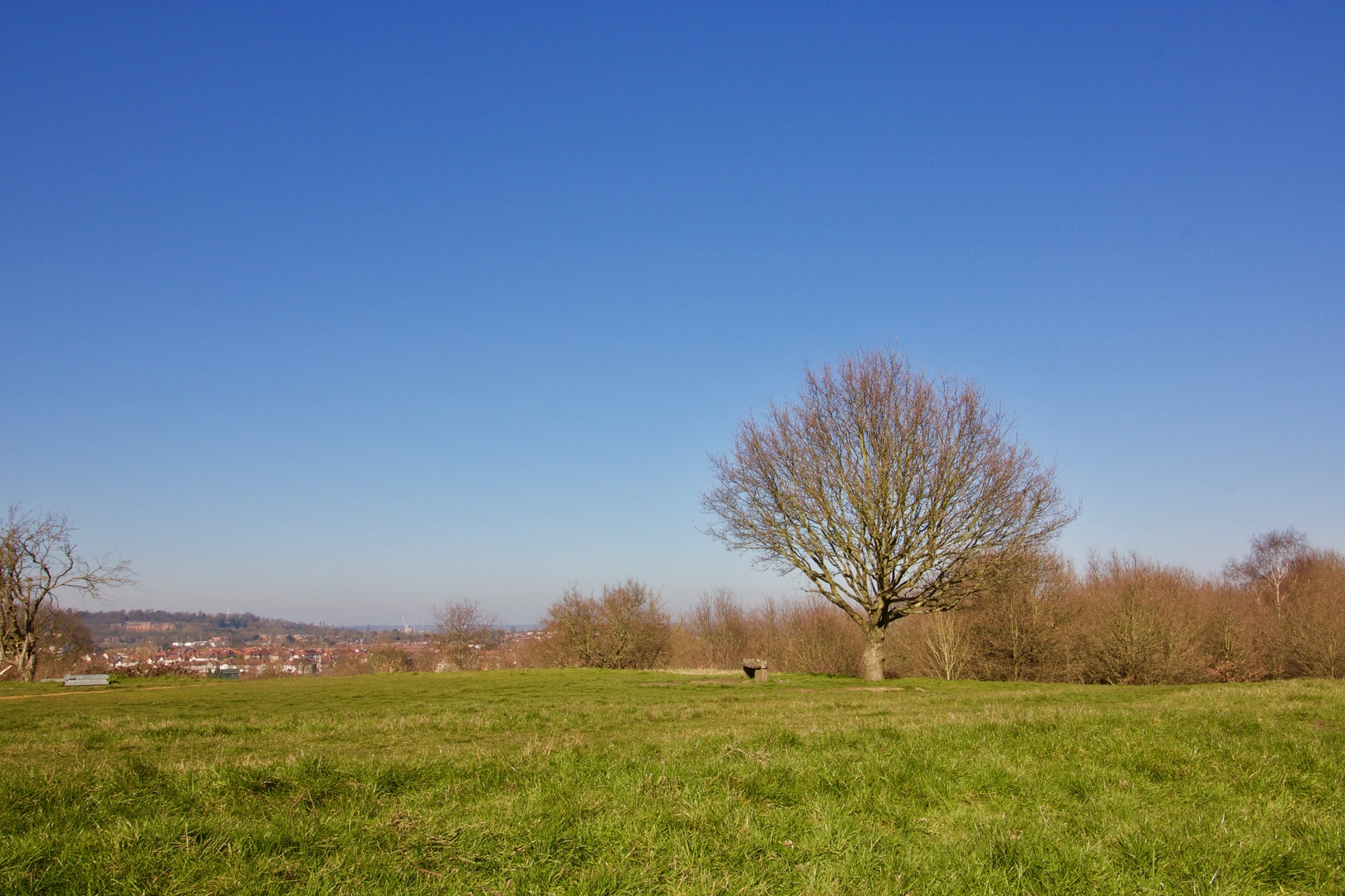 An image depicting the trail Green London Way and its surrounding area.