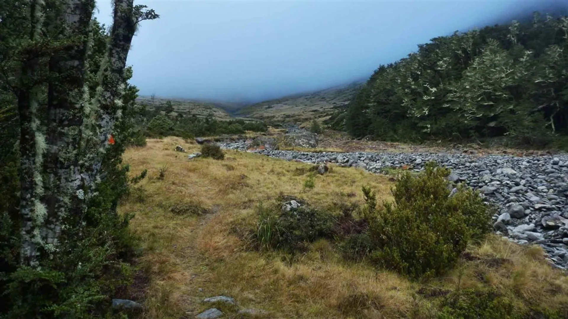 An image depicting the trail Temple Valley Circuit Track and its surrounding area.