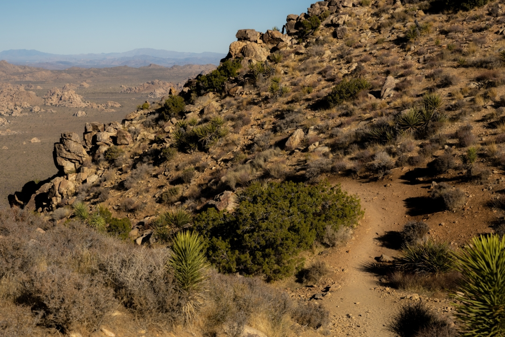 An image depicting the trail Ryan Mountain - Sheep Pass Connector Trail and its surrounding area.