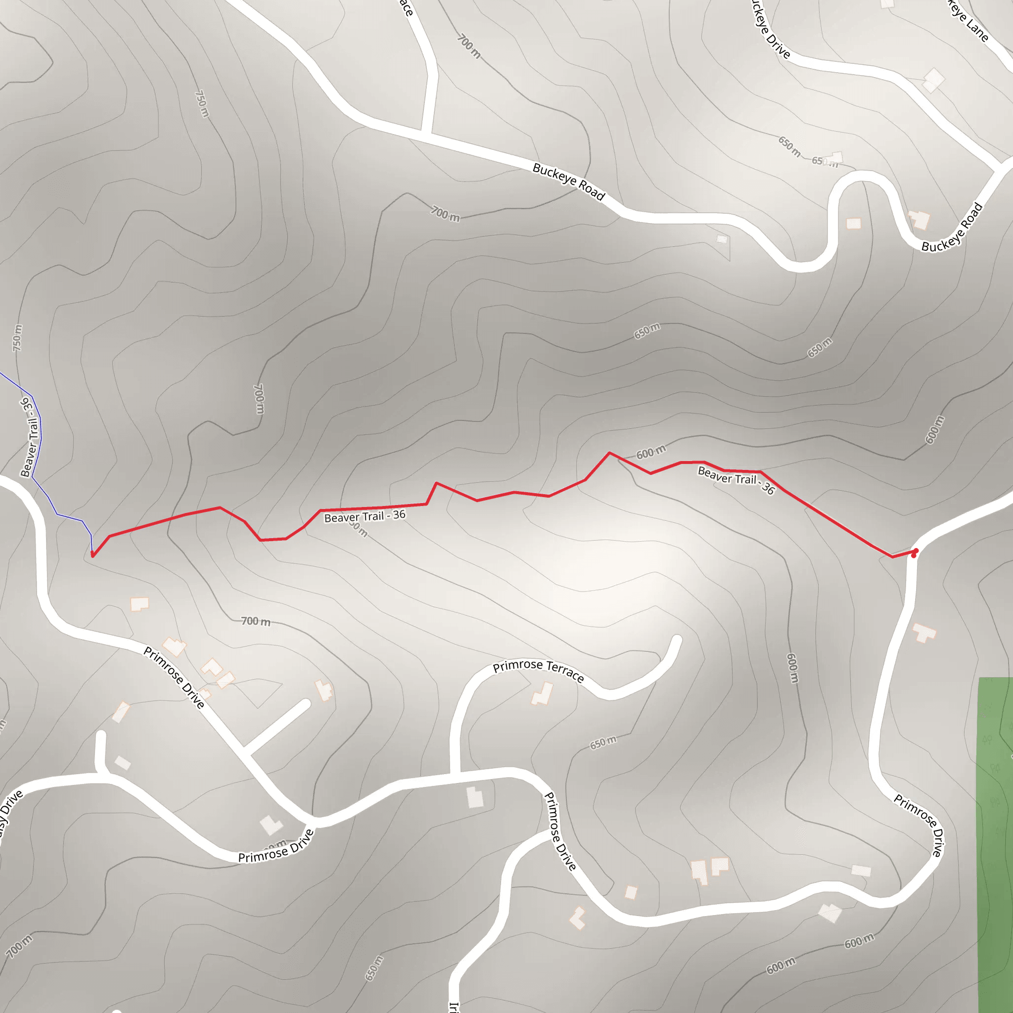 Beaver Trail Out and Back mobile static map