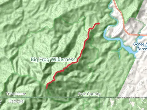 Licklog Top