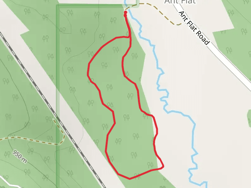 Ant Flat Historic Site and Nature Trail