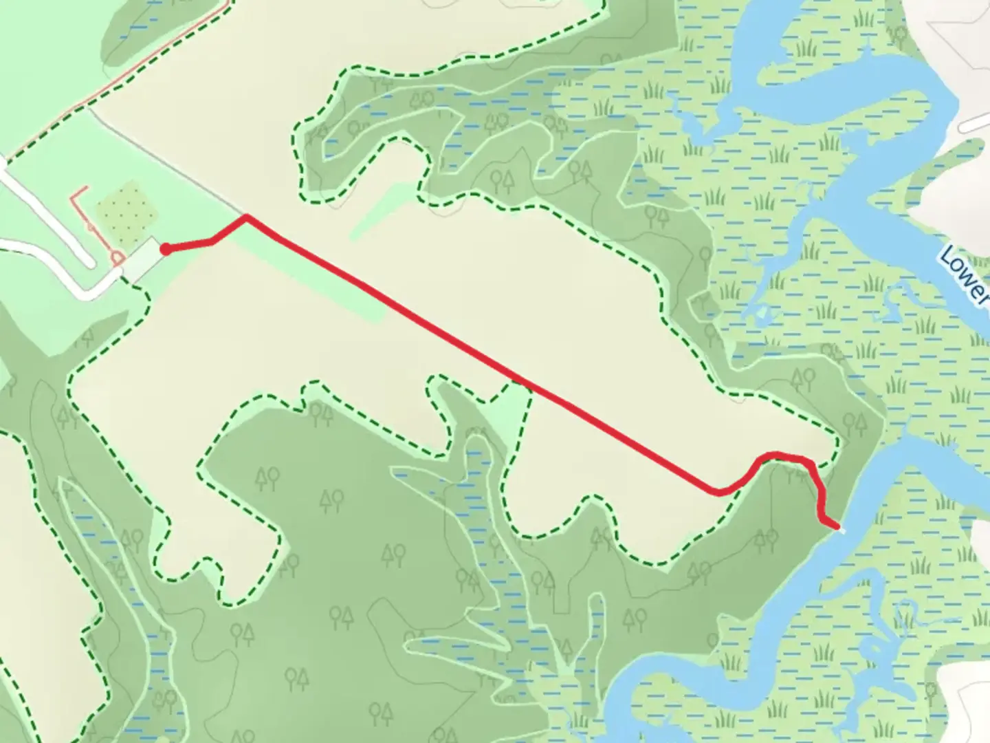 An image depicting the trail Lower Chippokes Creek Trail and its surrounding area.