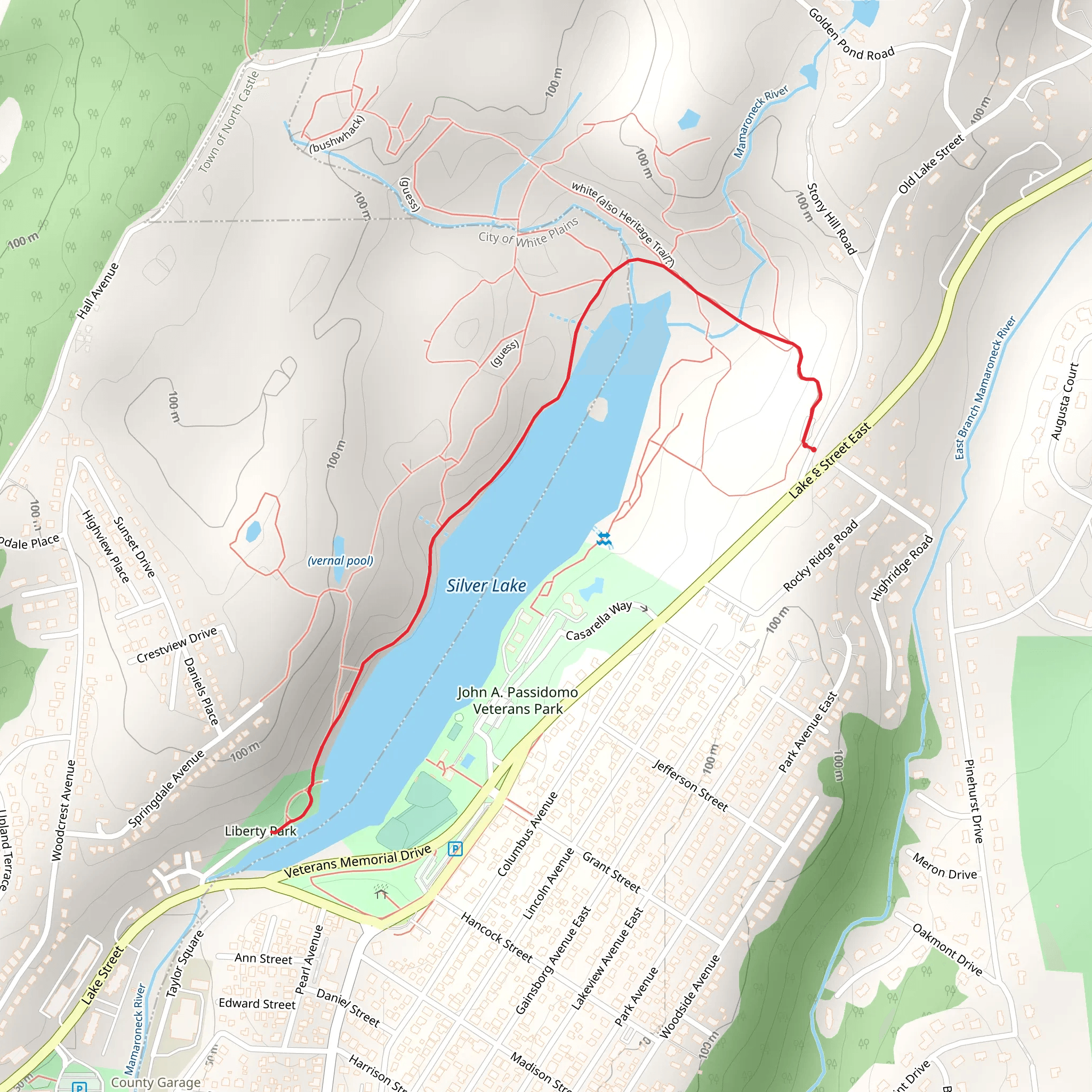 Walk along Silver Lake mobile static map