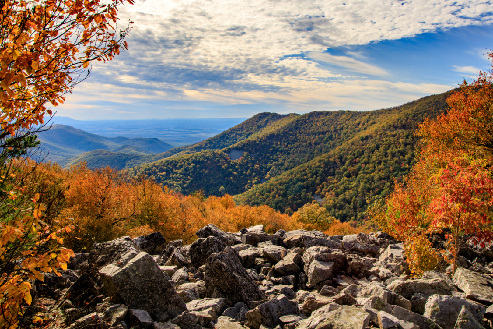 An image depicting the trail Blackrock Summit via Trayfoot Mountain and Appalachian Trail and its surrounding area.