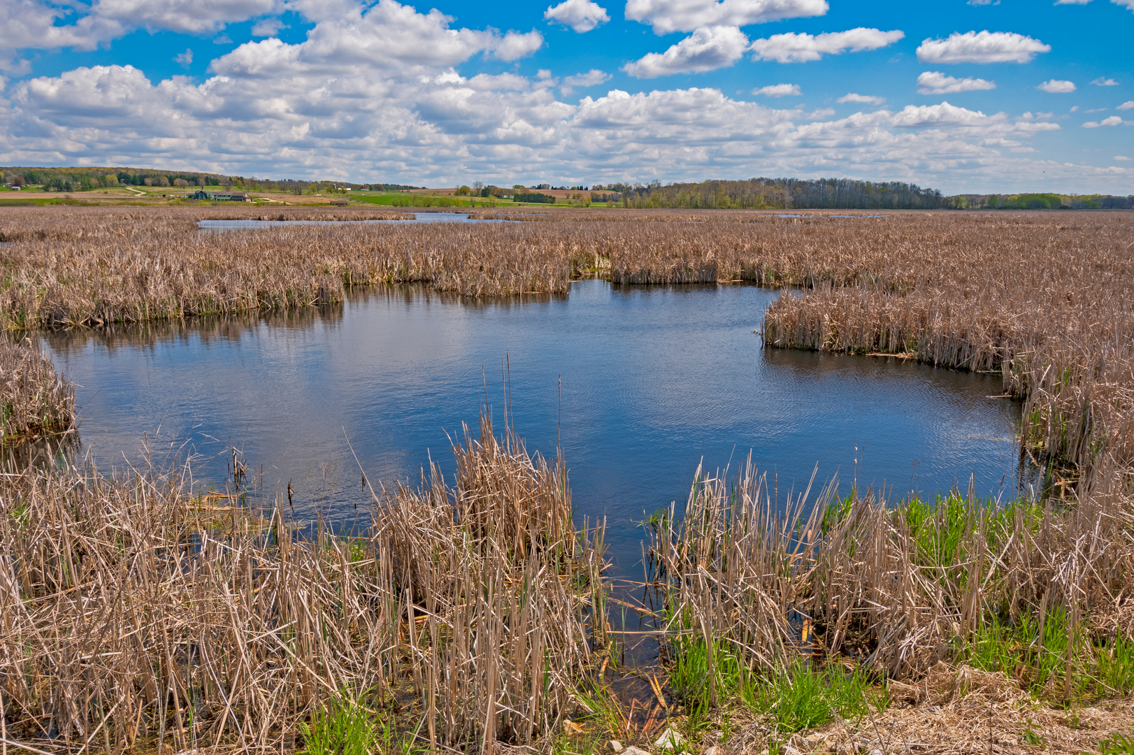 An image depicting the trail Wild Goose State Trail and its surrounding area.