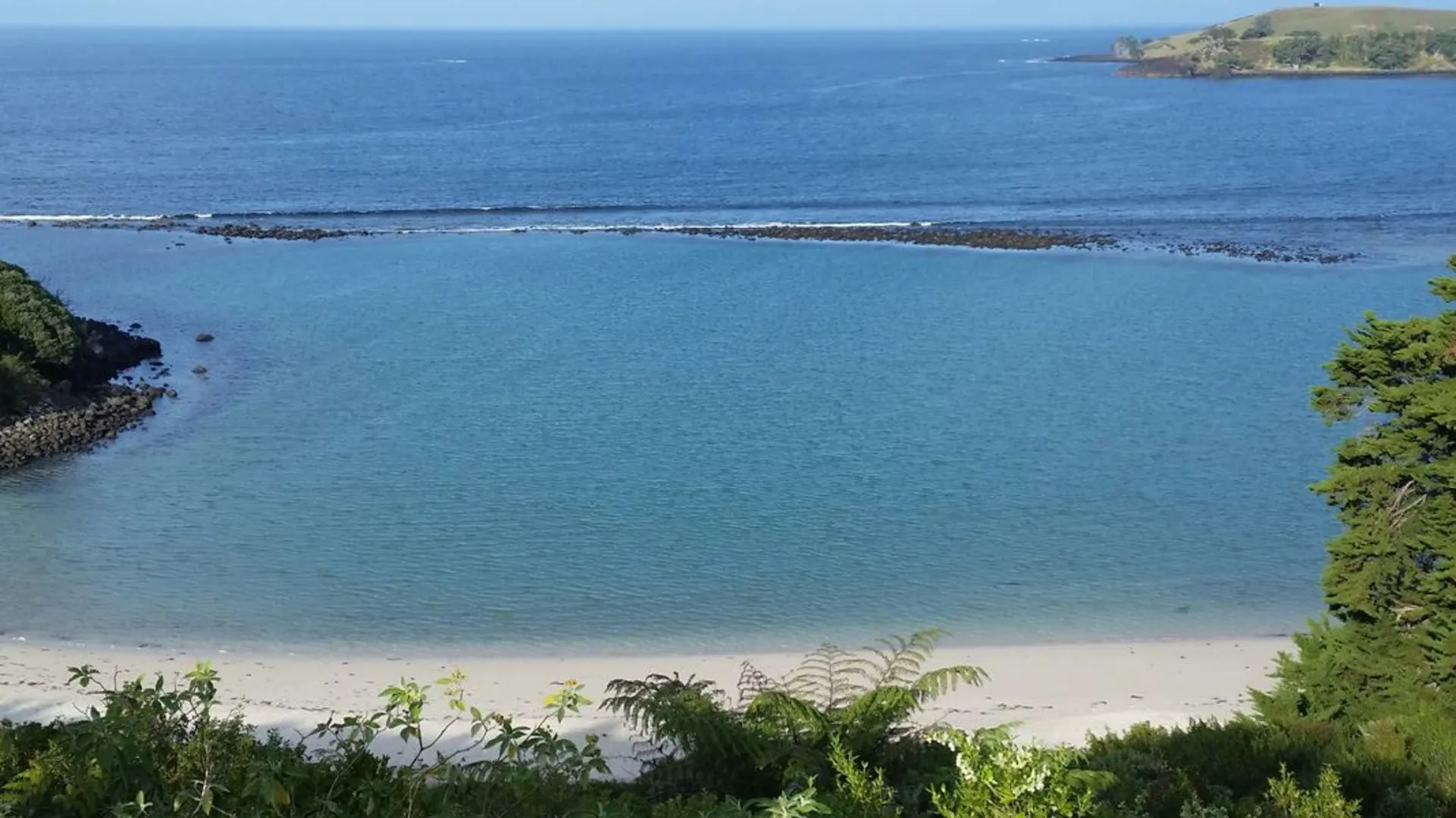 An image depicting the trail Taronui Bay Recreation Reserve Track and its surrounding area.