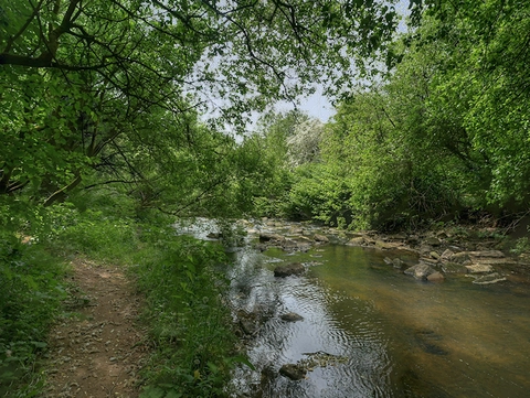 Brookdale Park Walk
