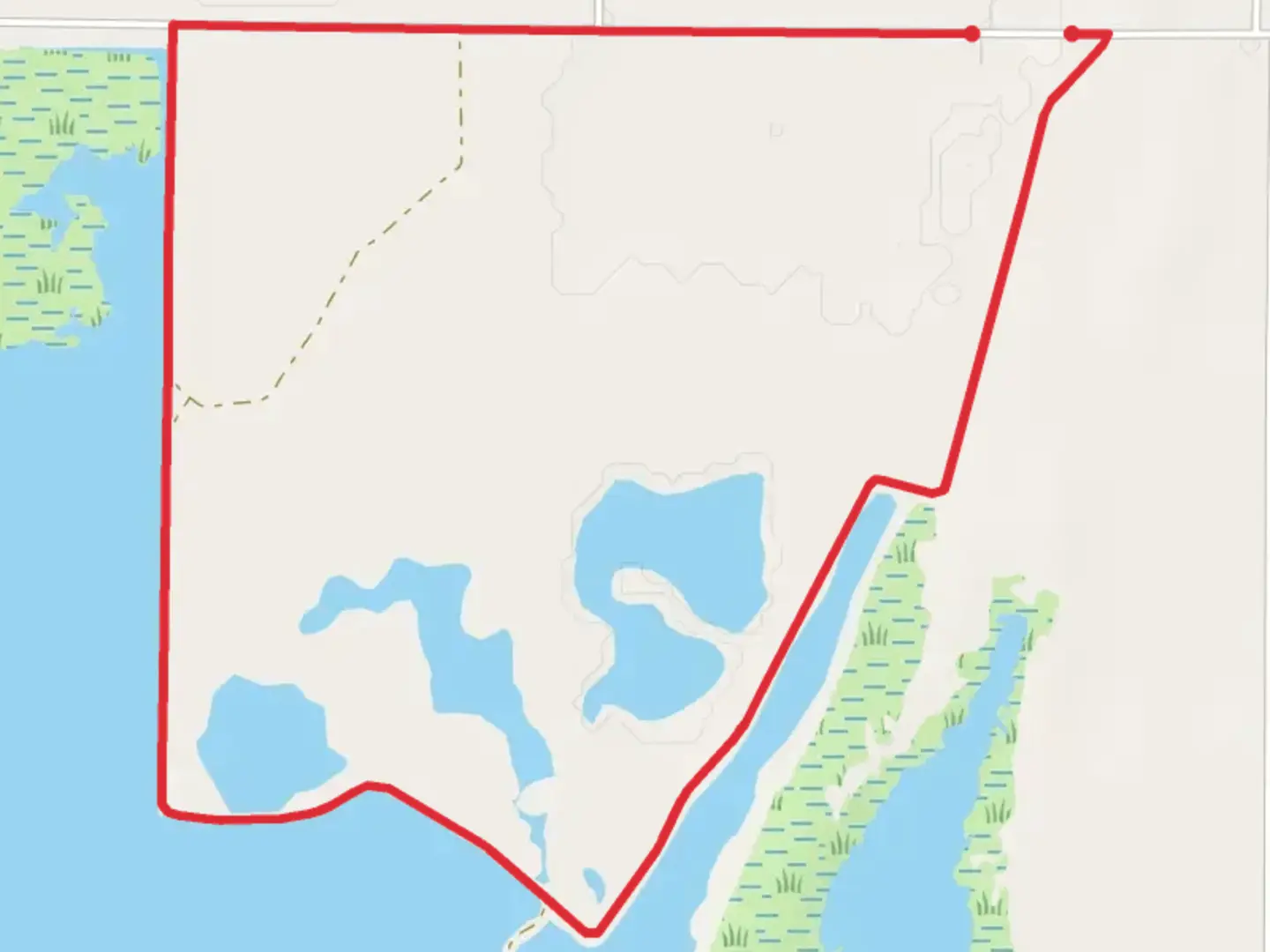 An image depicting the trail Big Salt Marsh Loop and its surrounding area.