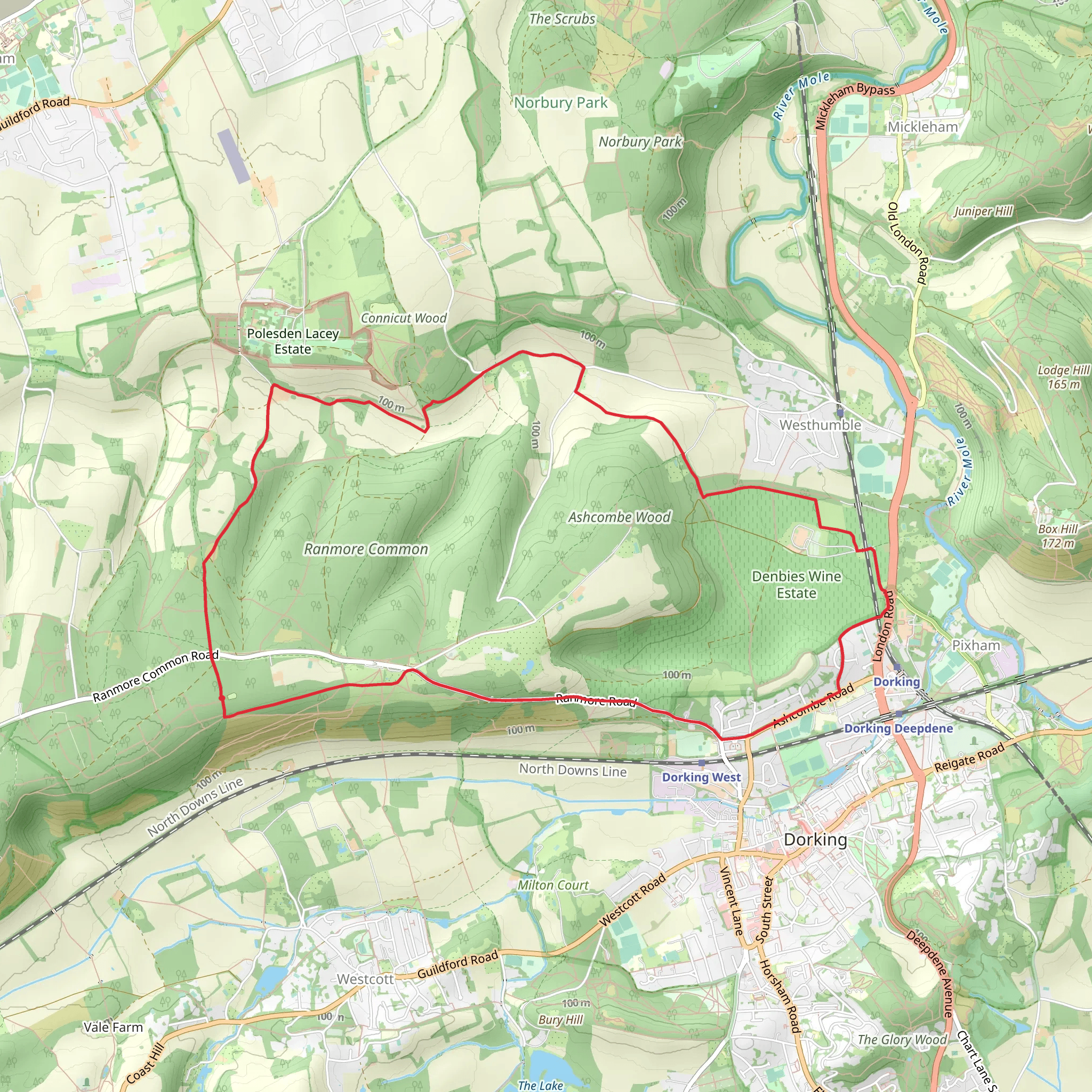 Ranmore Common and Ashcombe Wood Loop mobile static map