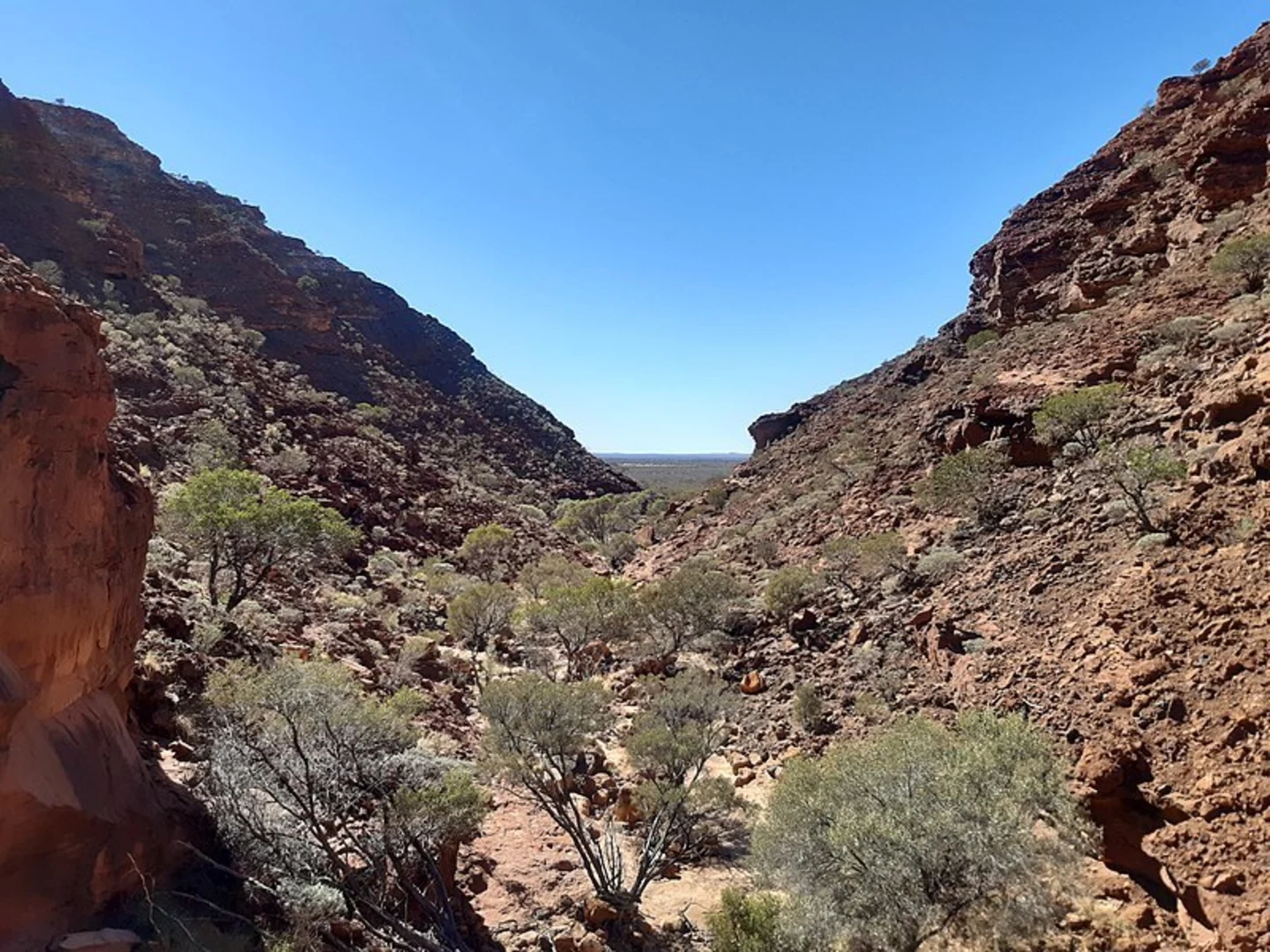 An image depicting the trail Drapers Gorge Trail and its surrounding area.