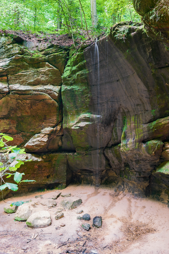 Lyons Falls and Pleasant Hill Loop Trail
