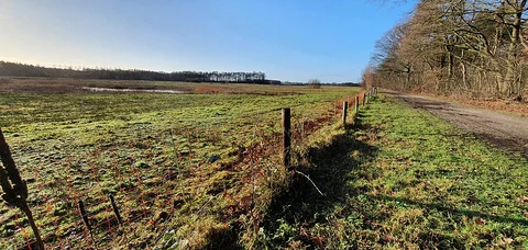Ysselsteyn to Rodermansstraat via Het Helder and Overloonsche Duinen