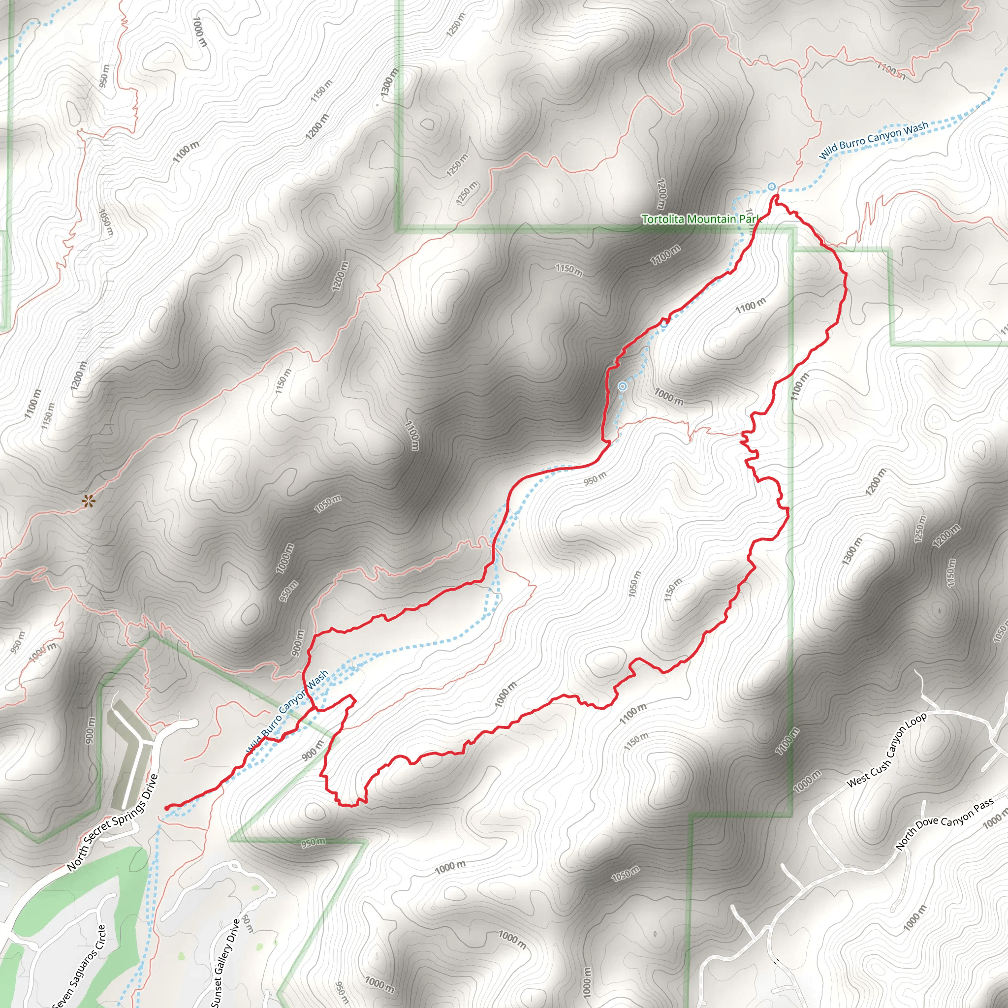 Wild Burro and Alamo Spring Loop Trail | Pima County | Arizona
