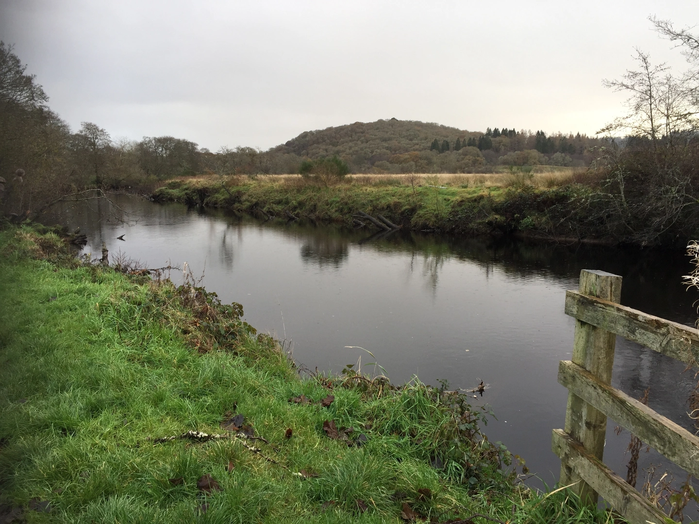 An image depicting the trail River Forth and Lochan Spling Loop and its surrounding area.