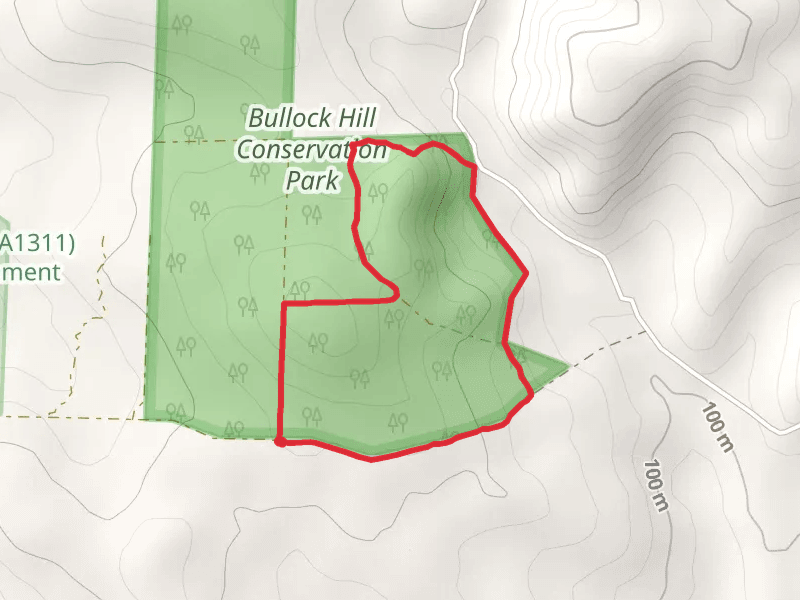 Native Grasses Hike - Bullock Hill Conservation Park