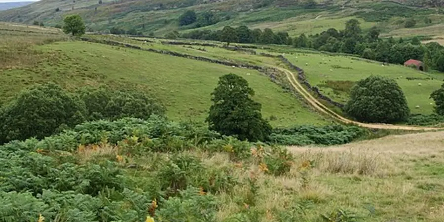 Esklets and Rosedale Head from Westerdale