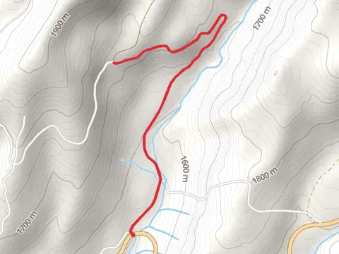 Plantation Gulch