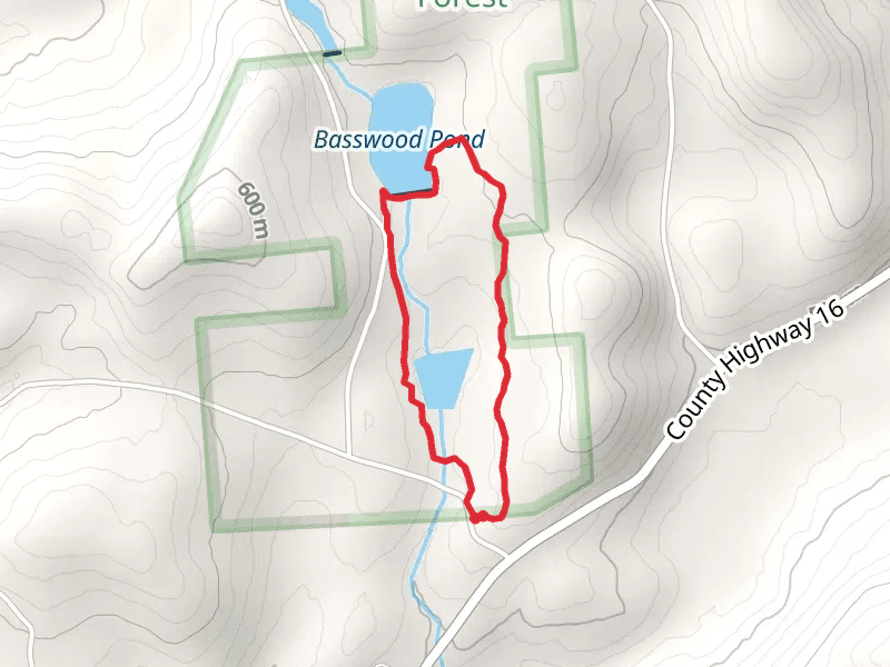 Basswood Road Pond Trail