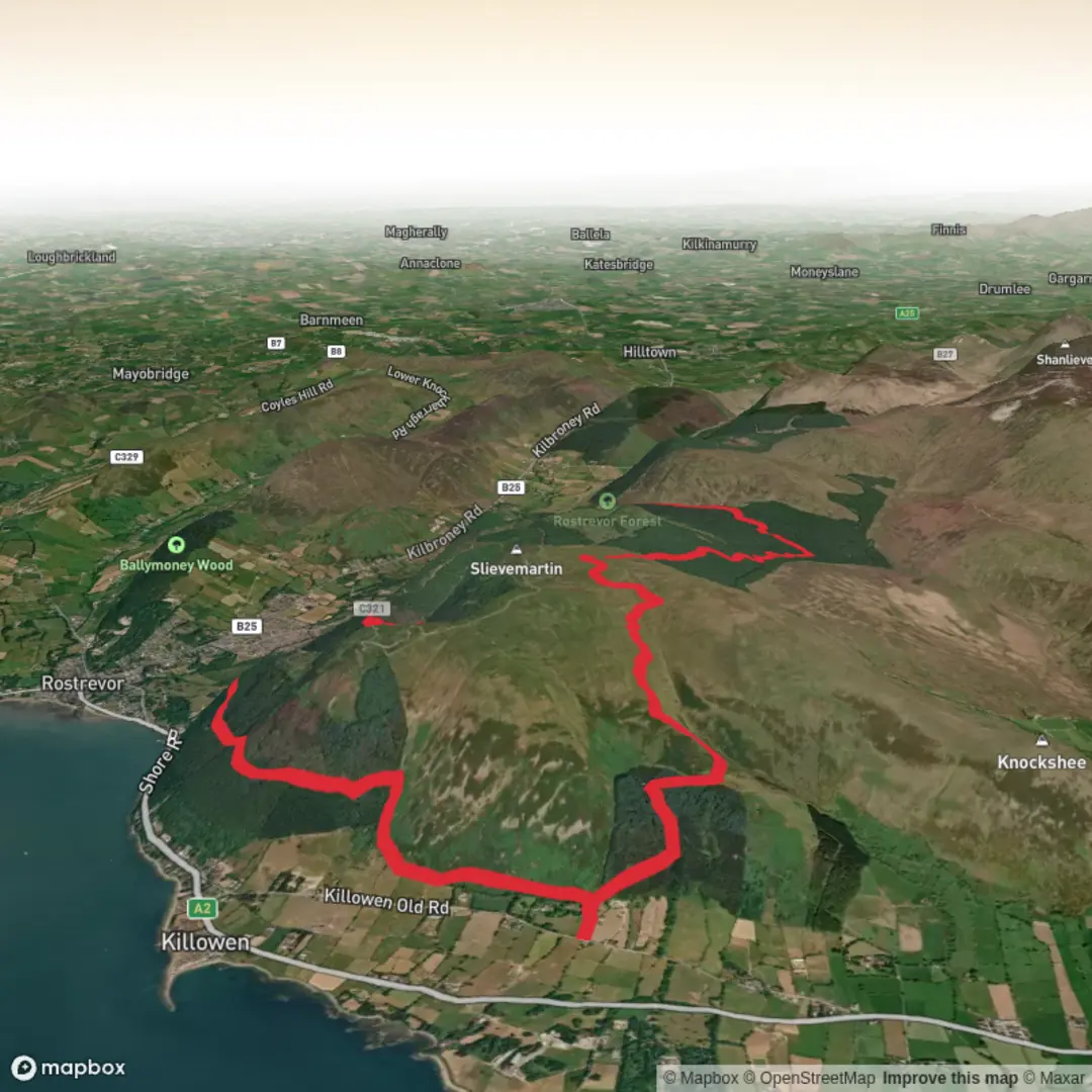 An image depicting the trail Rostrevor Forest Oakwood NNR Circular and its surrounding area.