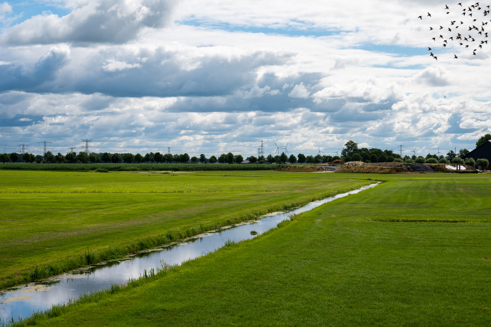 An image depicting the trail Hanzestedenpad - 1 and its surrounding area.