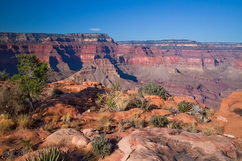 South Bass Trail