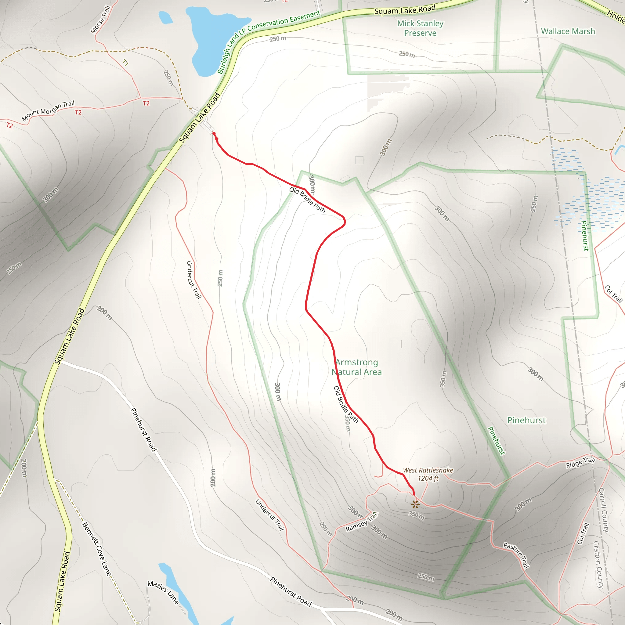West Rattlesnake Mount mobile static map