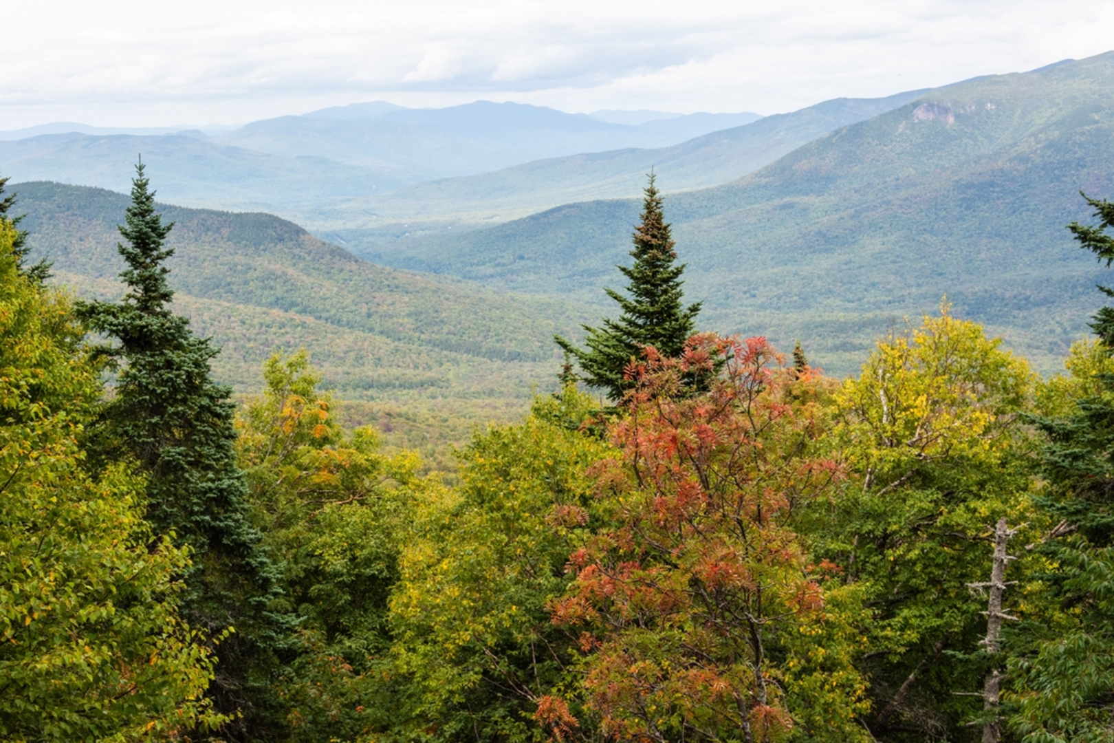 An image depicting the trail Agiocochook Crag - Nelson Crag Trail and its surrounding area.