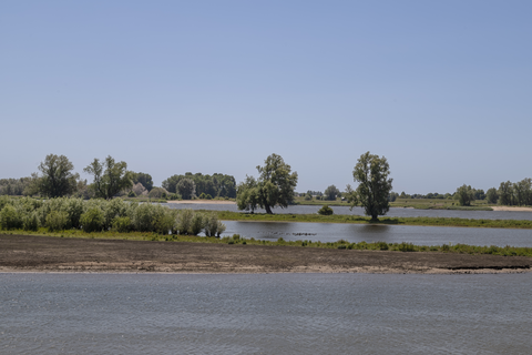 Kedichem, Gorinchem and Lieskampen Loop