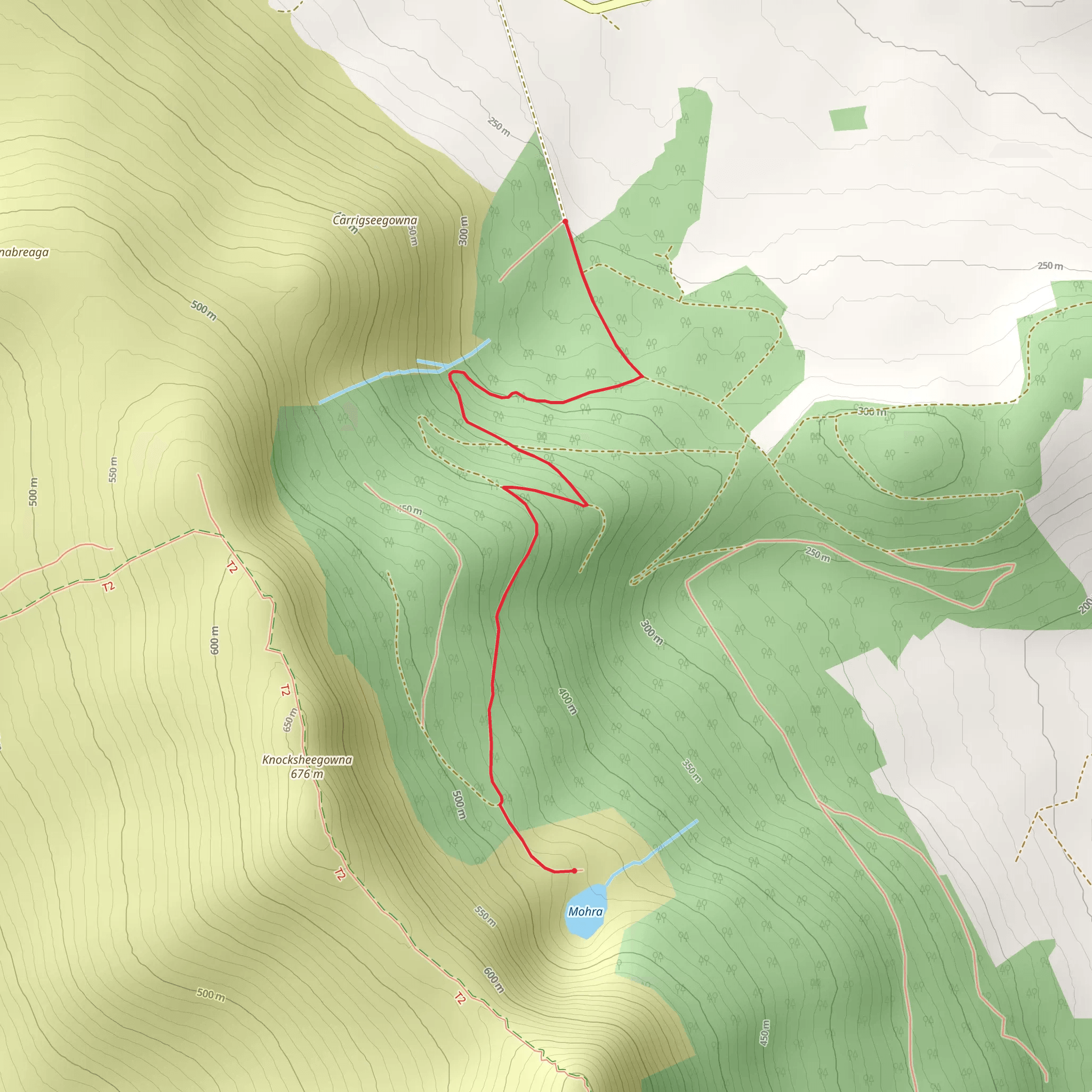 Lough Mohra Loop - Dec 14 mobile static map
