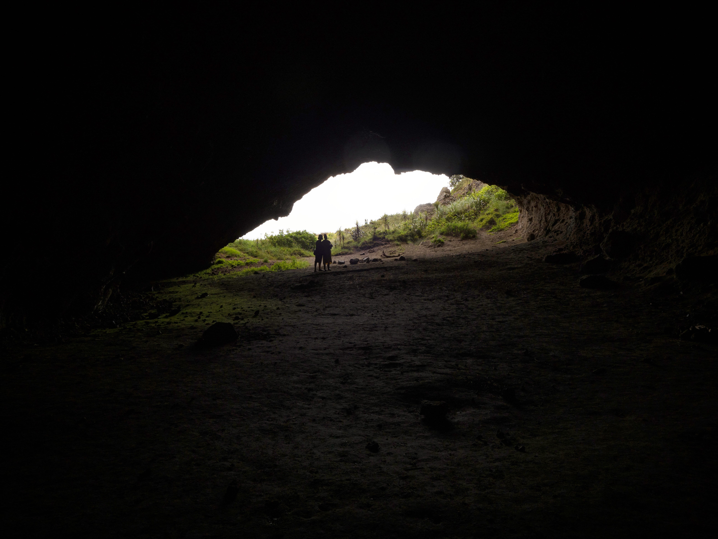 An image depicting the trail Whatipu Caves Track and its surrounding area.