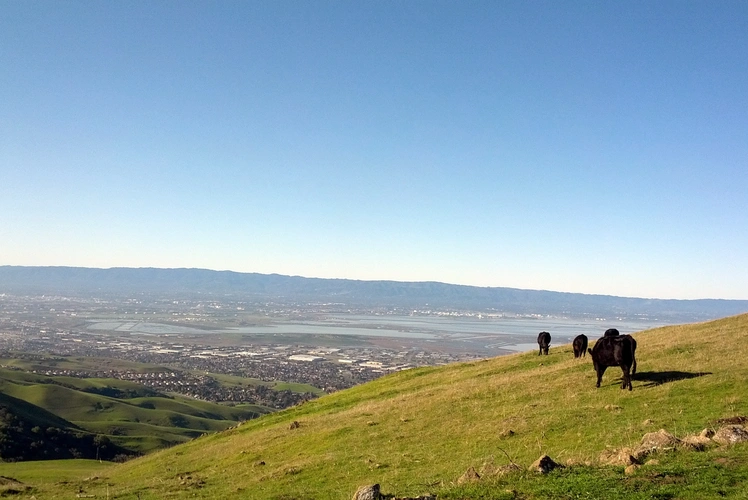 Mission Peak via Ohlone Wilderness Trail and Horse Heaven Trail