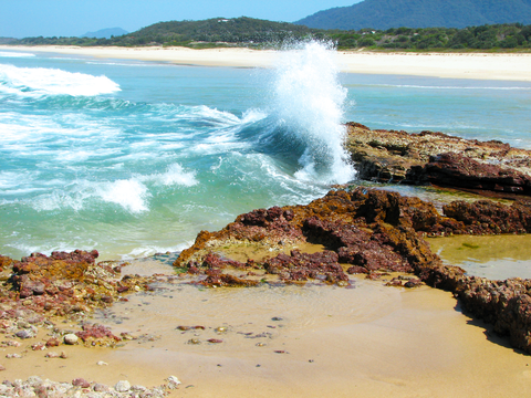 Mermaid Lookout Track
