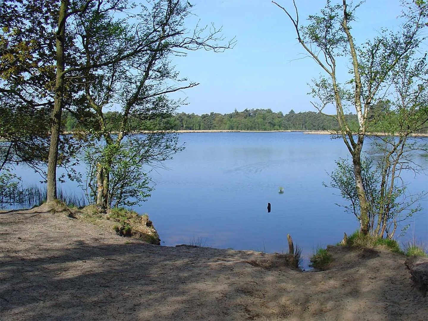 An image depicting the trail Smeenholten, Vakantiepark De Nlauwe Haan and Bosen Ven Loop and its surrounding area.