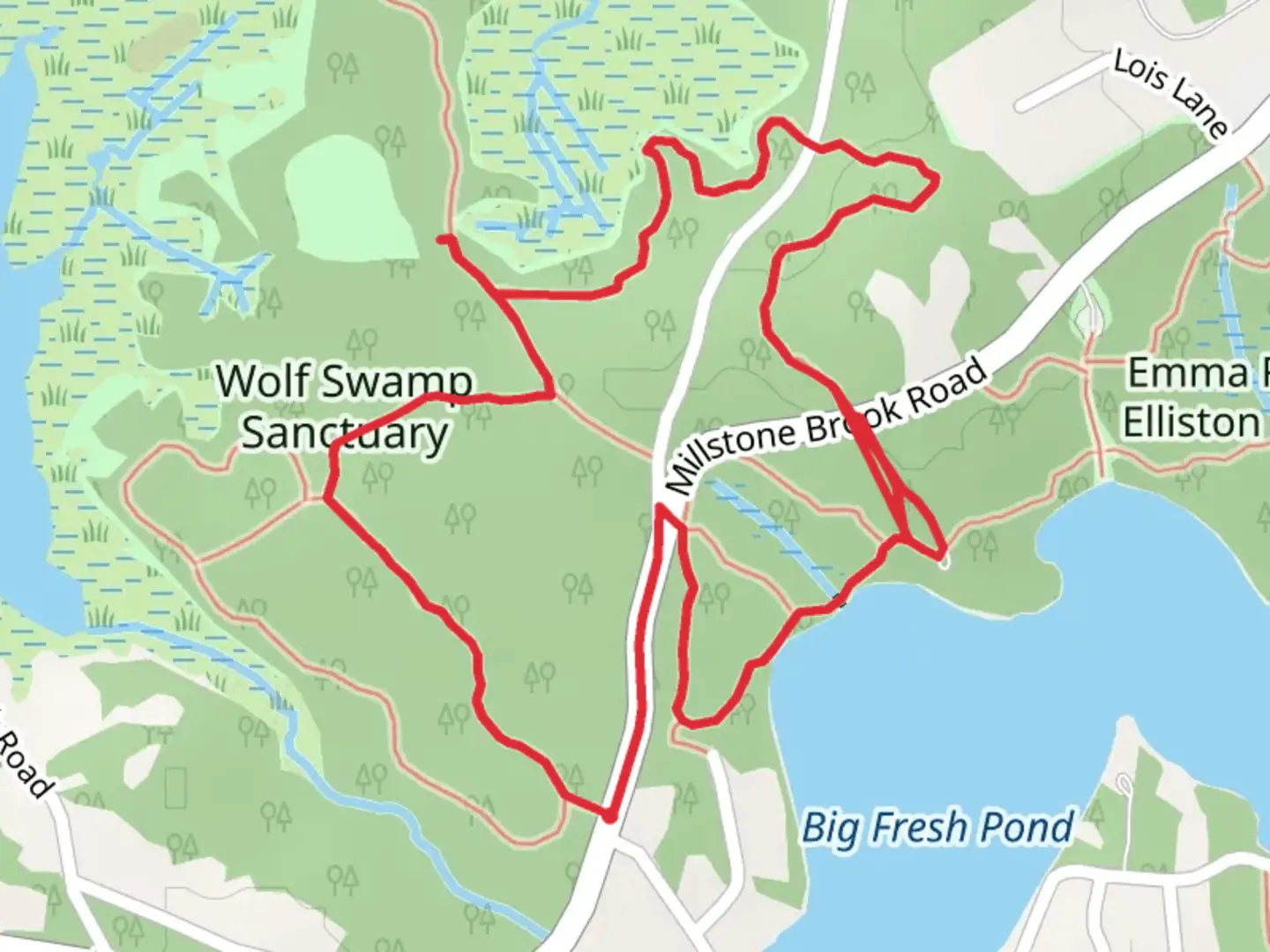 An image depicting the trail Wolf Swamp Sanctuary Loop Trail and its surrounding area.