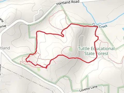 Talking Tree Trail and Demo Long Loop Trail
