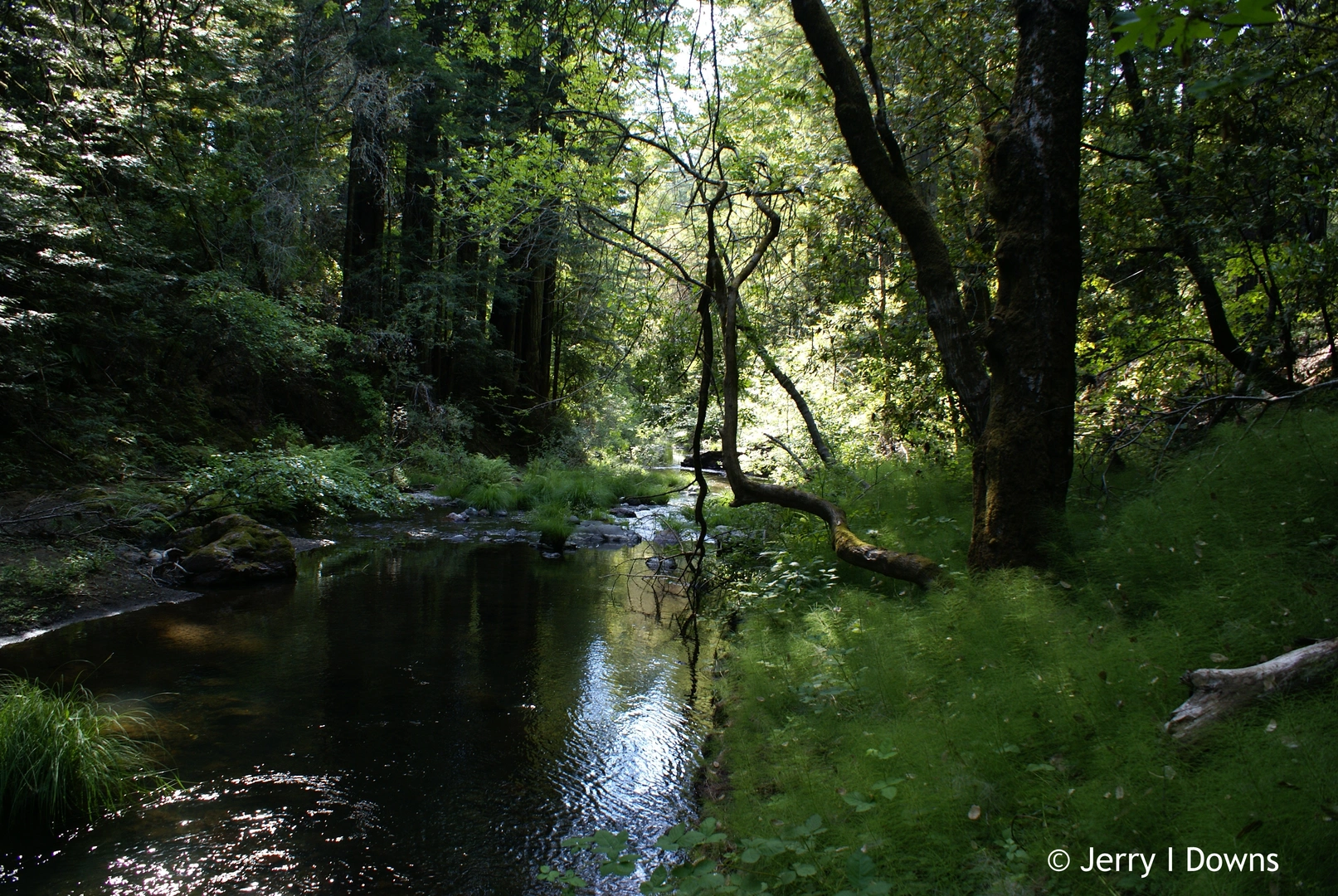 An image depicting the trail Barnabe Mountain via Bill's Loop Trail and its surrounding area.