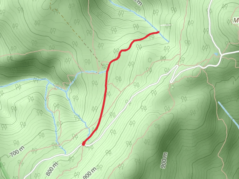 March Cataract Falls Trail