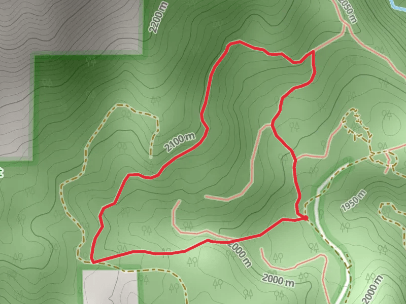 Loop Besides Shake Camp Campground