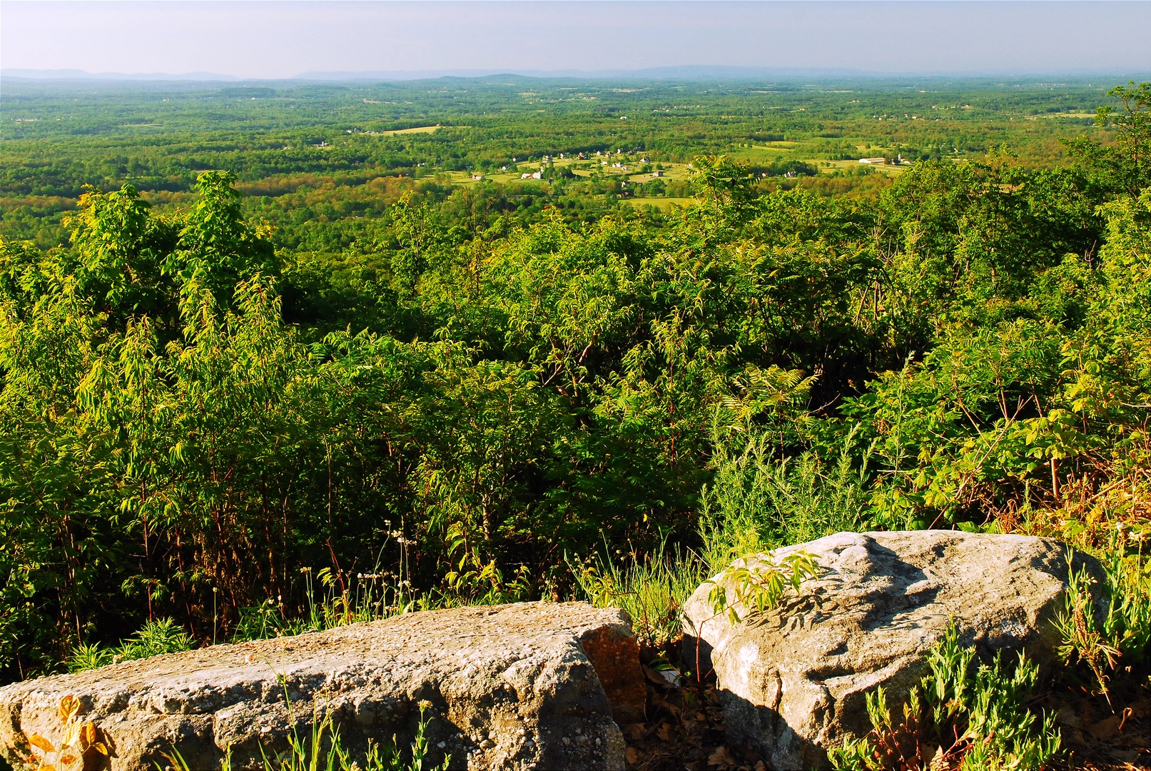 An image depicting the trail North Country Trail - New York and its surrounding area.