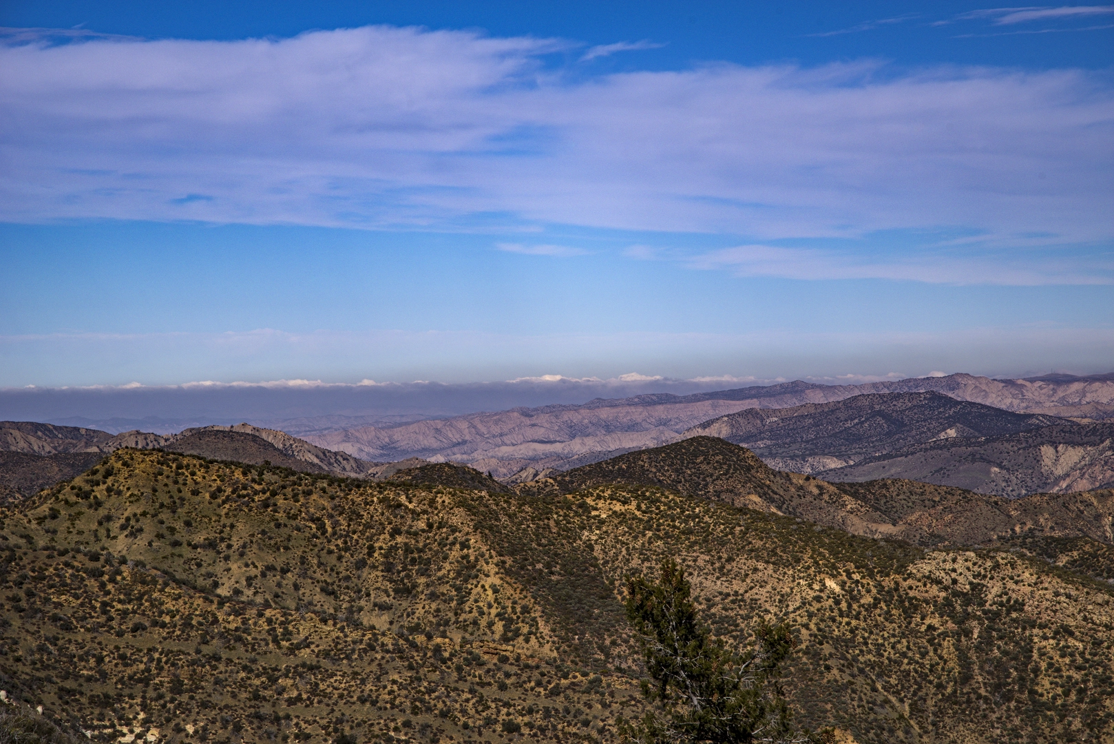 An image depicting the trail Plowshare Peak and Miranda Pine Mountain from Old Sierra Madre Road and its surrounding area.